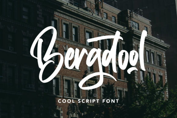 Bergdool: A Modern Script Font for Creative Projects