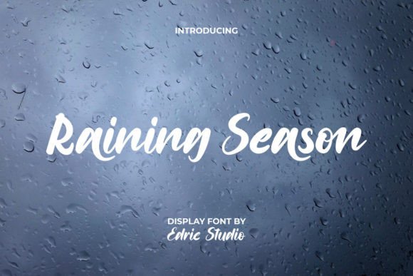 Exploring Raining Season: A Modern Calligraphic Script for Bold Brands