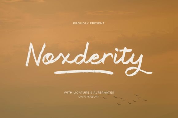 Noxderity: A Brush Script for Modern, Personal Design