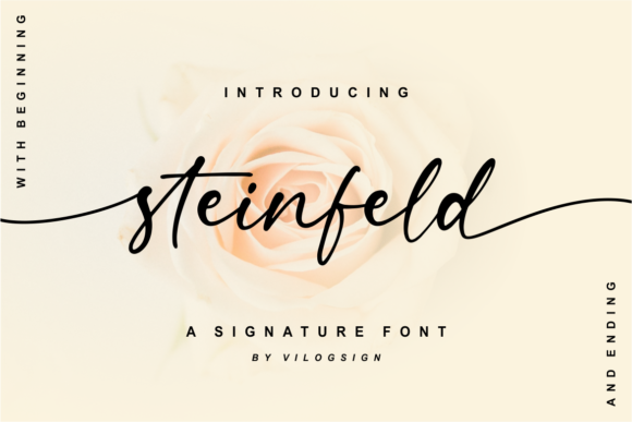 Steinfeld: The Elegant Script Font for Modern Designers